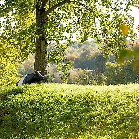 Wald & Golfhotel Lottental Ξενοδοχείο Μπόχουμ