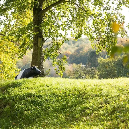 Hotell Wald & Golfhotel Lottental