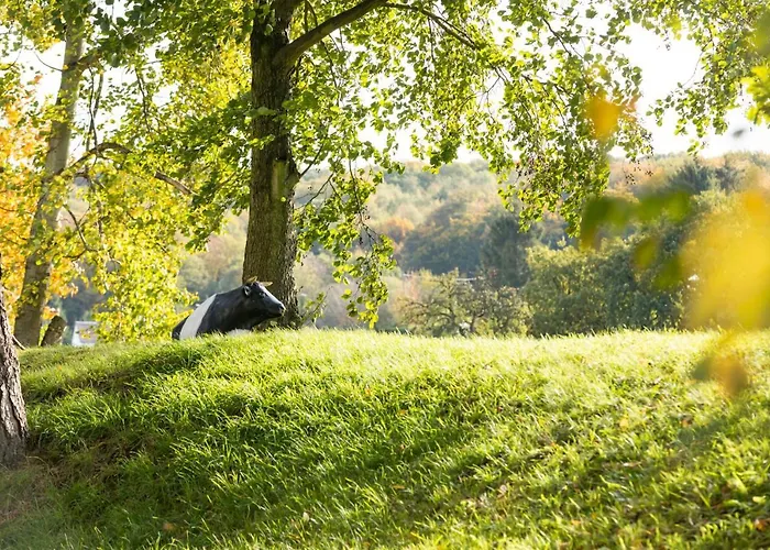 Hotel Wald&golfhotel Lottental